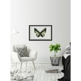 thumbnail image 6 of Hunter Green Butterfly Framed Painting Print, 6 of 6