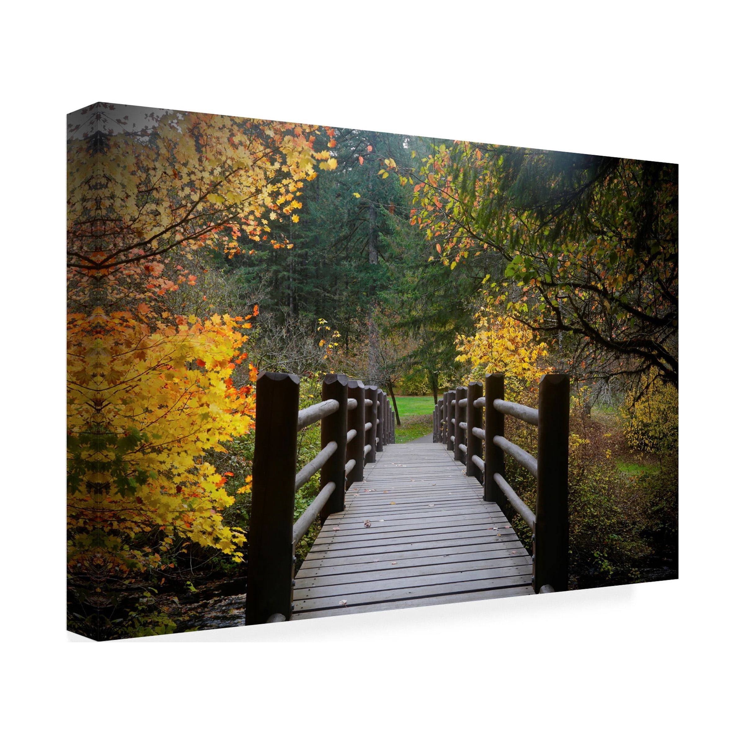 Susan Vizvary Photography 'Autumns Bridge' Canvas Art