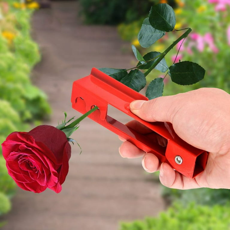 SENRISE Rose Leaf Thorn Stripper Rose Thorn Remover Kit for Roses Floral  Arrangement Gardening Tool Iron Red
