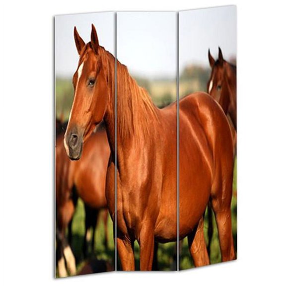 Benjara 3 Panel Foldable Wooden Screen with Horse Print, Brown