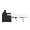 thumbnail image 4 of Dinosisco Twin Size Pull Out Sofa Bed, 2-in-1 Convertible Sleeper Couch with Mattress, 2-Seater Loveseat Sleeper for Living Room, Black, 4 of 13