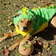 thumbnail image 4 of Disfraz de perro Fladorepet con diseño de dinosaurio, ropa de invierno, color verde, 5XL, 4 of 6