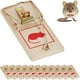 thumbnail image 4 of 12 unids/set trampas para ratas y ratones reutilizables de madera y Metal trampas clásicas para ratones, 4 of 8