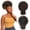 Black Brown to Deep Brown #T2/33A, variant on Afro Puff Drawstring Ponytail Bun with Bangs Black Kinky Curly Updo Hairpieces for Black Women Natural Black 1B