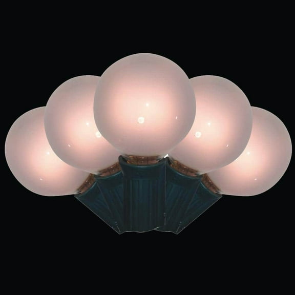 25-Light G40 Frost Clear Light Set, Black Wire