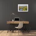 thumbnail image 3 of Majchrowicz, Alan 32x23 White Modern Wood Framed Museum Art Print Titled - Touch the Sky Prairie southwest-Minnesota, 3 of 4