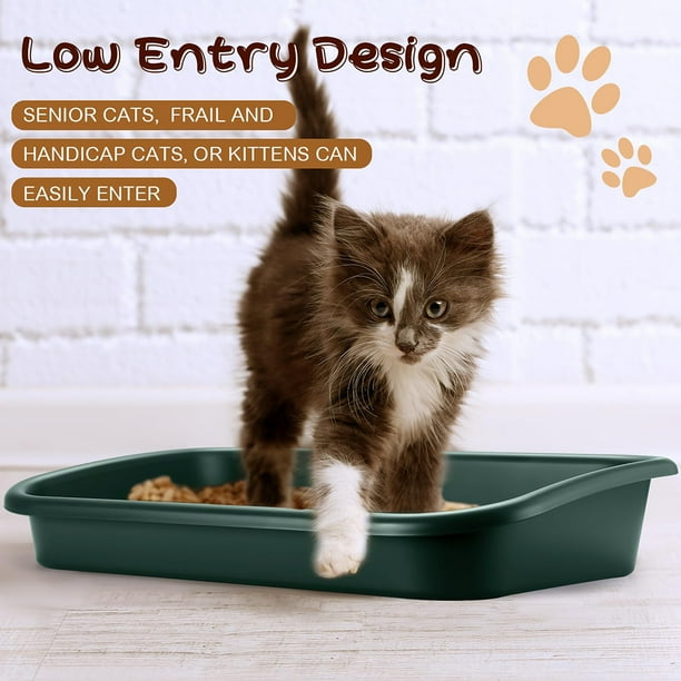 Litter for senior cats hot sale