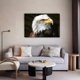 thumbnail image 5 of Póster de lienzo de águila americana de raptor, decoración de dormitorio, paisaje deportivo, decoración de oficina, regalo, estilo marco, 20 x 30 cm, 5 of 8