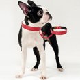 thumbnail image 3 of Collar básico clásico de cuero acolchado para mascotas, adecuado para perros de tamaño pequeño y mediano., 3 of 5