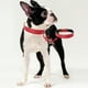 thumbnail image 3 of Collar básico clásico de cuero acolchado para mascotas, adecuado para perros de tamaño pequeño y mediano., 3 of 5