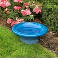 thumbnail image 4 of Tierra Garden Birds and Beyond Fiber Clay Birdbath, Gloss Bowl, Low-Profile Base,, 4 of 7