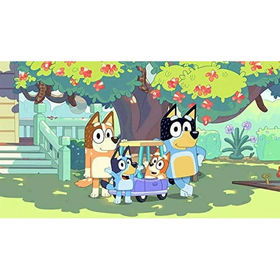 Whimsical Practicality's Bluey Birthday Edible Icing Image Cake Topper-1/4 Sheet or Larger