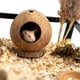 thumbnail image 3 of Casa de hámster con cabaña de coco, cama para jerbos, ratones, jaula para animales pequeños, decoración de hábitat, 3 of 5