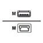 Cisco USB cable - 6 ft