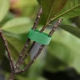 thumbnail image 4 of Vendaje para plantas Corbata Soporte ajustable Cinta de sujeción reutilizable (Verde) Ndcxsfigh nuevos, 4 of 9