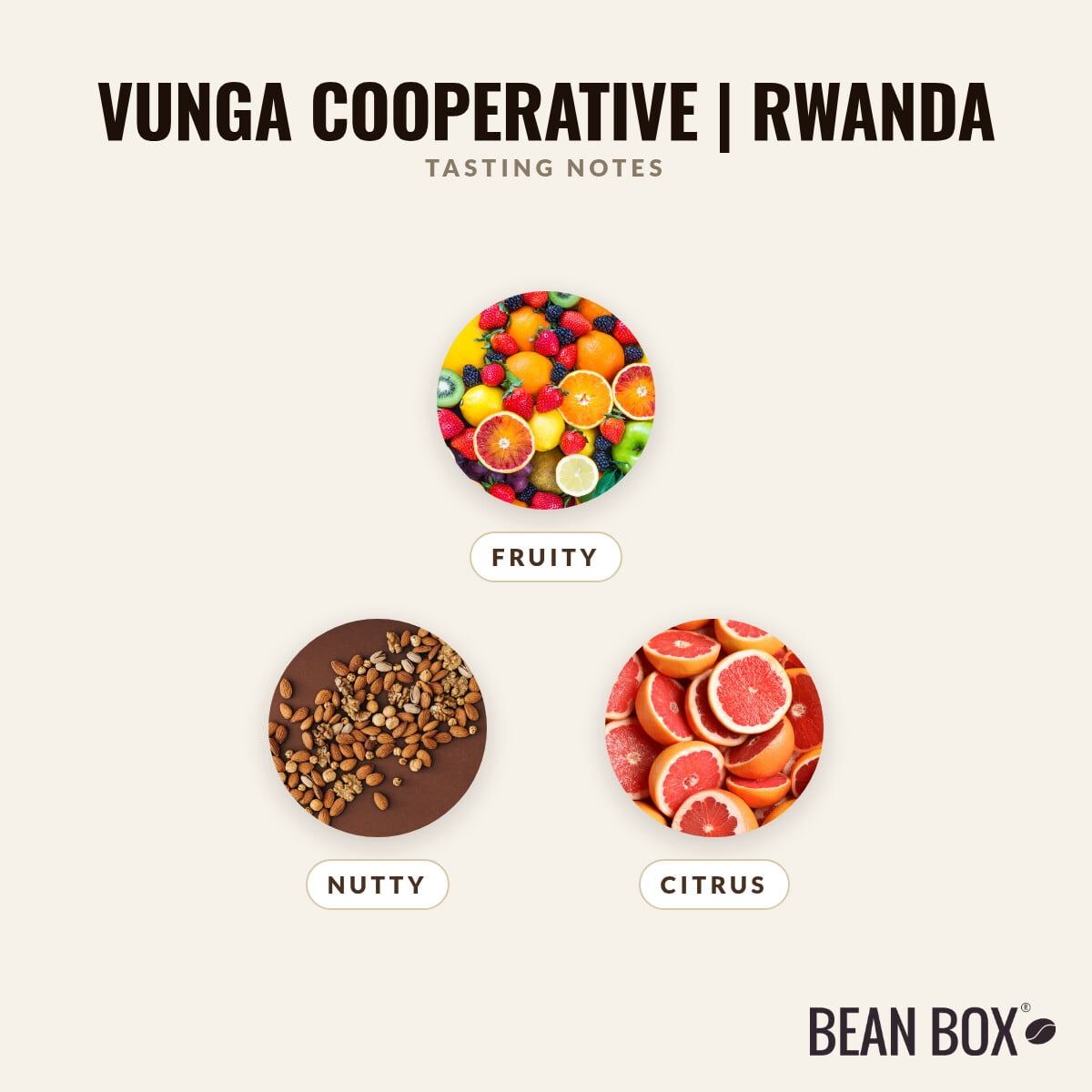 Vunga Cooperative Rwanda - Roasted by 8th & Roast Coffee Co. - Whole Bean Coffee - 2lb Bag