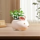 thumbnail image 1 of Maceta de cerámica con forma de animalito | Maceta de escritorio personalizada para suculentas con orificio de drenaje | Cerámica gruesa transpirable para cactus y plantas pequeñas | Maceta de, 1 of 5