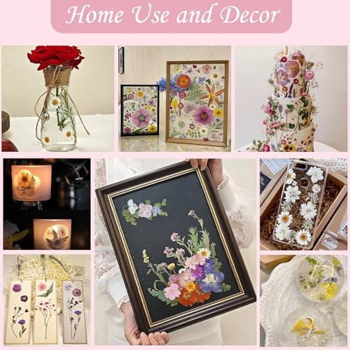 80 Pcs Dried Flowers for Crafts, Real Natural Pressed Flowers in Soft Yellow, White & Pink for Resin Art, DIY Jewelry, Candle and Soap Making Kit with Tweezers Included
