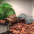 thumbnail image 2 of LLDYYDS Reptile Hides and Caves Rock Reptile Hideout Terrarium Habitat DÃ©cor for Bearded Dragon Lizards Ball Python Snakes One Size, 2 of 5
