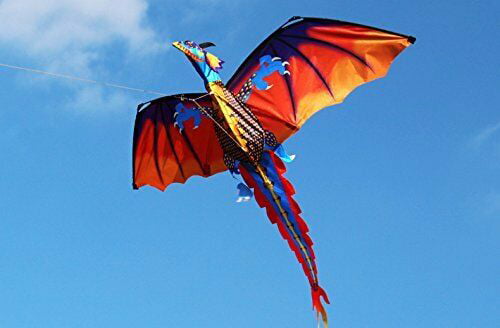 Huge 3D Dragon Kite Single Line With Tail Family Outdoor Sports Toy Children Fun 