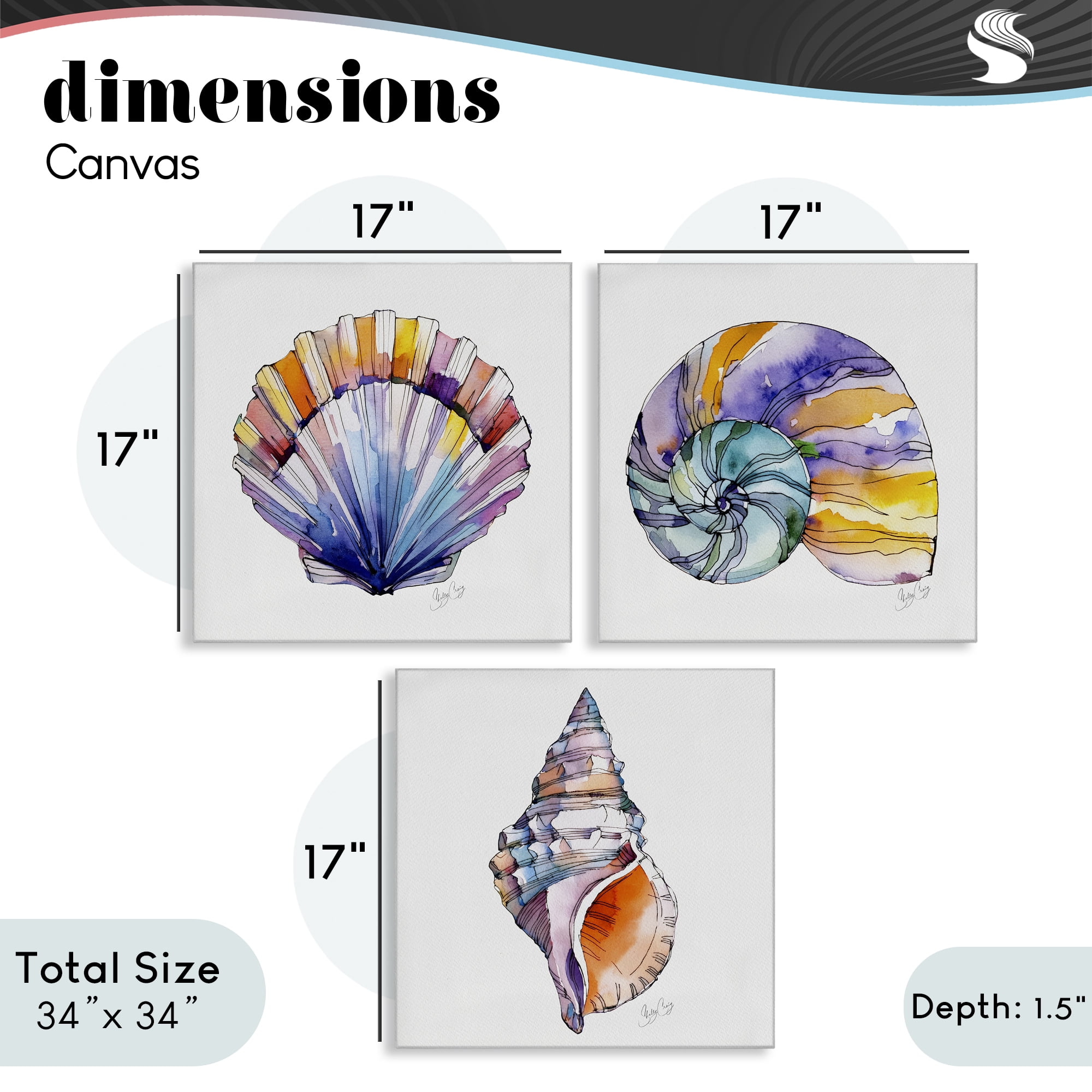 Stupell Industries Sunlit Seashells Watercolors 3 Piece Canvas Wall Art Set, design by Shelly Craig