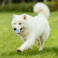 thumbnail image 4 of Indestructible Tennis Silent EVA Chew Interactive Toy For Small Dogs And Puppies Durable Pet Companion, 4 of 4