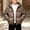 Brown, variant on Xdegoge Boys Winter Warm Puffer Jacket Full Zip Hooded Coat Lightweight Quilted Kids Outerwear with Pockets Wind Resistant Outdoor Fall School Tops