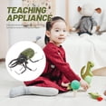 thumbnail image 3 of GAXIRE 2-Pack Realistic Green Insect Figurines Plastic Models for Home Decor Lifelike Simulation Props, 3 of 7