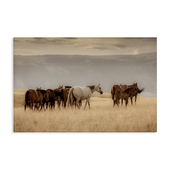 Stupell Industries Equestrian Montana Herd Canvas Wall Art, design by Christy Berry