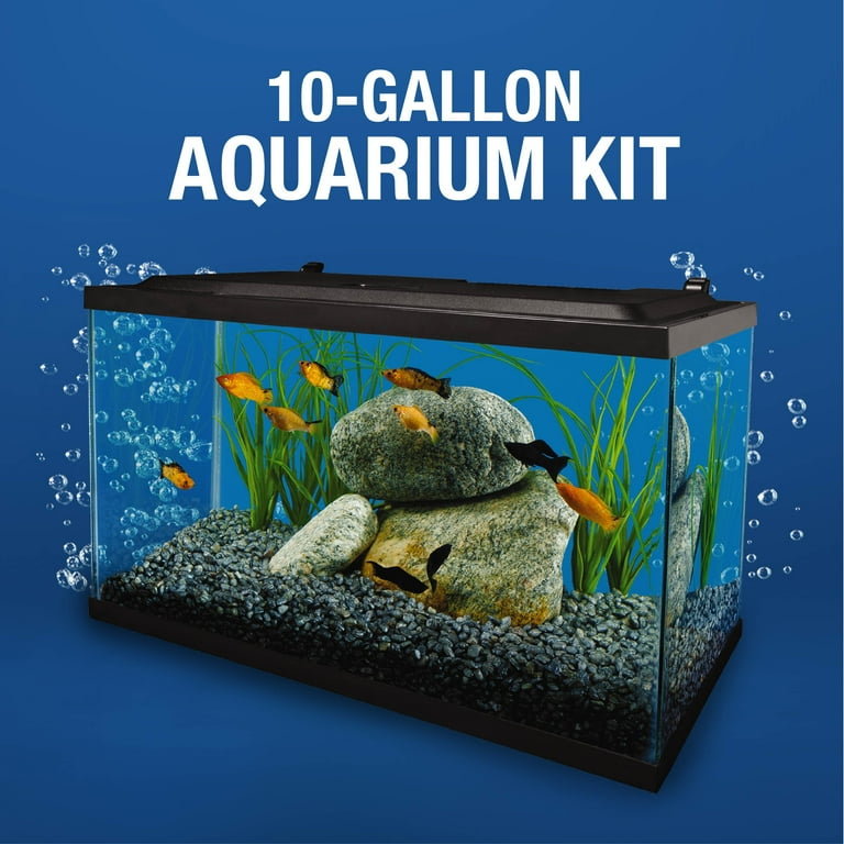 15 gallon fish tank kit best sale