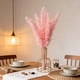 thumbnail image 5 of Paquete de 8 Tallos de Hierba Pampas Falsa con Jarrón, 32cm Ramas Florales Boho en Rosa y Blanco para Centro de Mesa de Boda, Decoración para Fiesta de Casa de Campo, 5 of 6