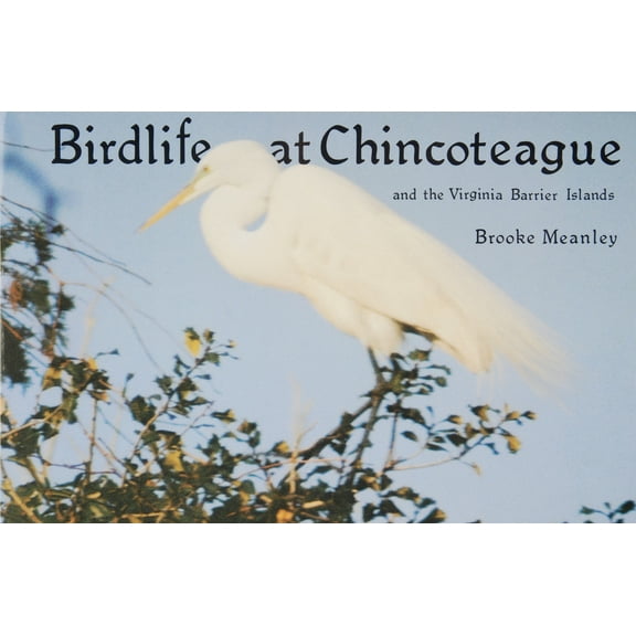 Birdlife at Chincoteague and the Virginia Barrier Islands, (Paperback)