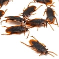thumbnail image 4 of Juguetes Prank Cenyo GUDVES Simulación de Cucarachas de Goma Plástico (10 Unidades), 4 of 6