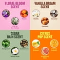 thumbnail image 4 of Crema de manos Gold Bond paquete de 4 aromas surtidos 85 g, 4 of 8