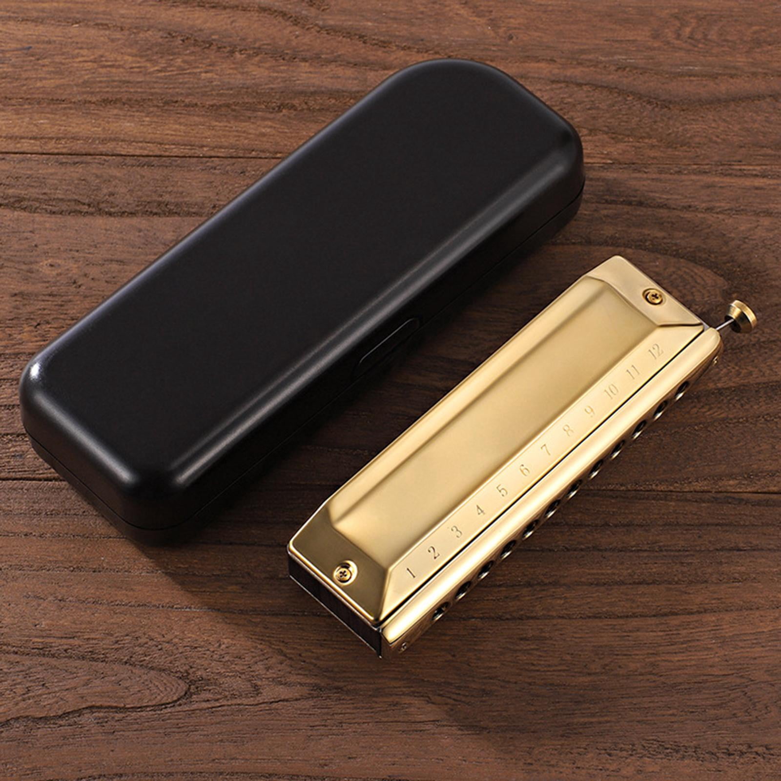 Yihuala 12 Holes 48 Tones Professional Chromatic Harmonica, Mouth Organ, Professional