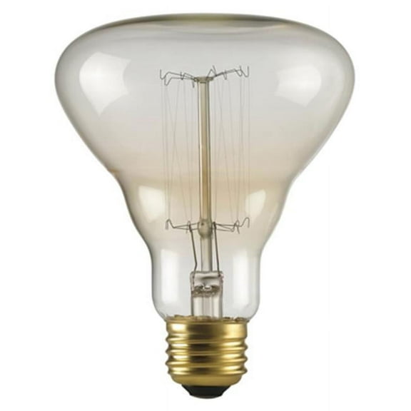 40 W Labo Designer Bulb