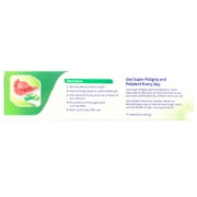 Polident Dentu-Creme Clean Antibacterial Enamel-Safe Toothpaste Value Pack, Fresh, 3.90 Oz, 3 Pack