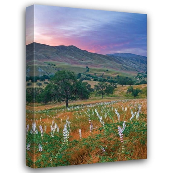 Mark Geistweite 32x44 Gallery Wrapped Canvas Wall Art Titled - Caliente Bodfish II