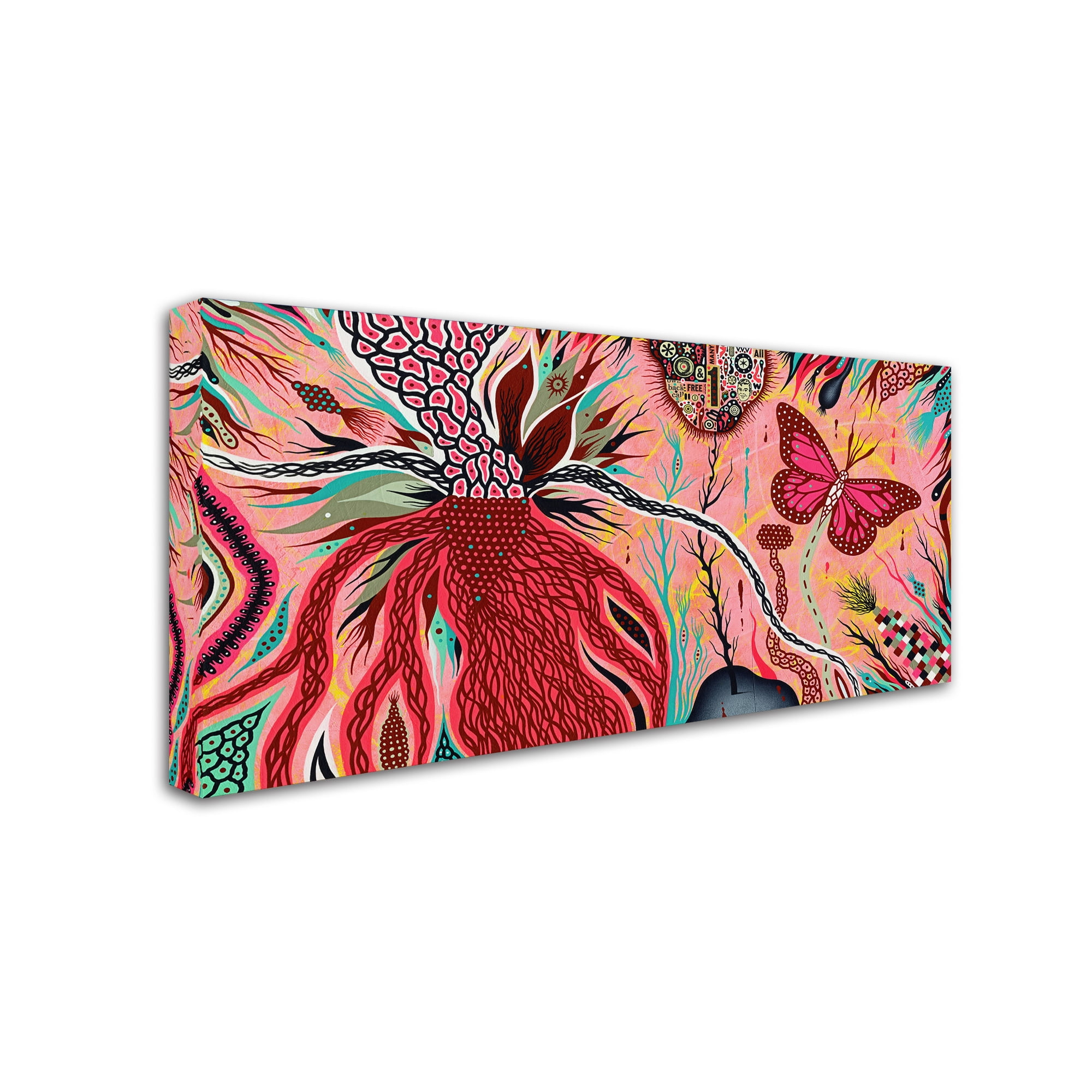 Trademark Fine Art 'The Pink Opaque' Canvas Art by Colin Johnson