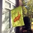 thumbnail image 2 of Carolines Treasures BB7795CHF Rex Rabbit Drapeau Vert Maison en Toile, 2 of 4