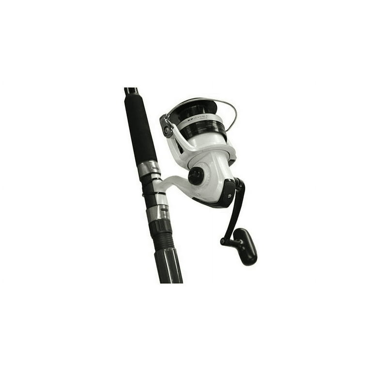 D-Wave DWB-B Spinning Combo, 5000-Sz Reel, No Line, 1RB, 410/14, 310/17,  240/20, 9', M