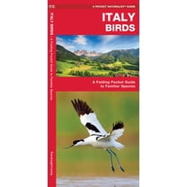 Italy Birds : A Folding Pocket Guide to Familiar Species