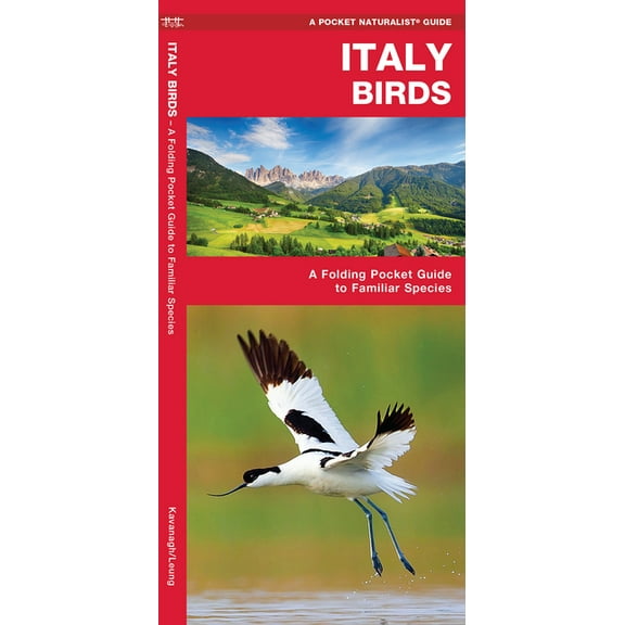 Italy Birds : A Folding Pocket Guide to Familiar Species