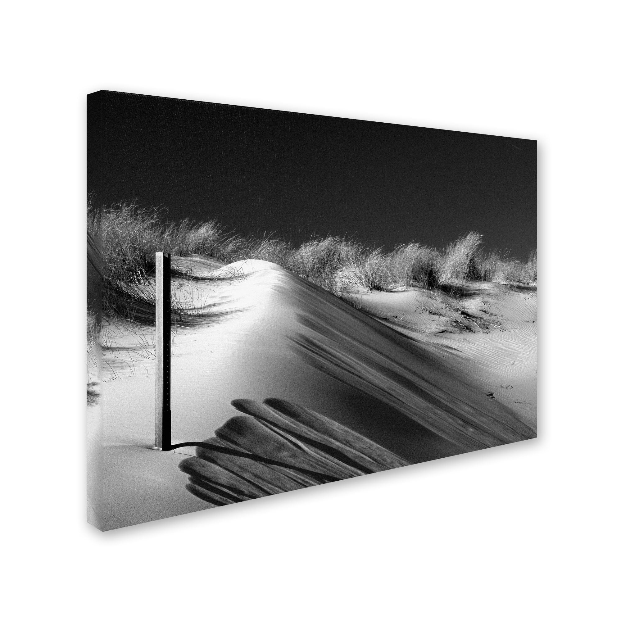 Trademark Fine Art "Gnomon" Canvas Wall Art by Geoffrey Ansel Agrons