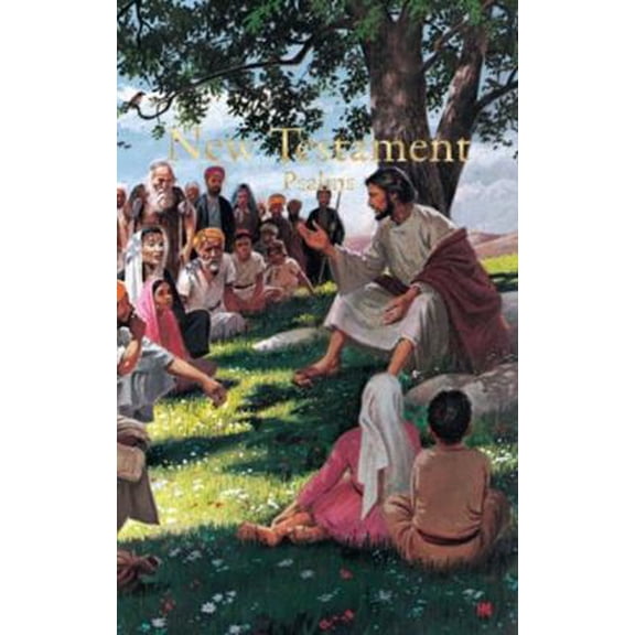 Pre-Owned Economy Children's New Testament with Psalms-KJV (Paperback) 1558190384 9781558190382