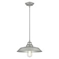 thumbnail image 1 of Westinghouse Lighting 6354600 1 Light Pendant Galvanized Steel Finish with Metal Shade, 1 of 1