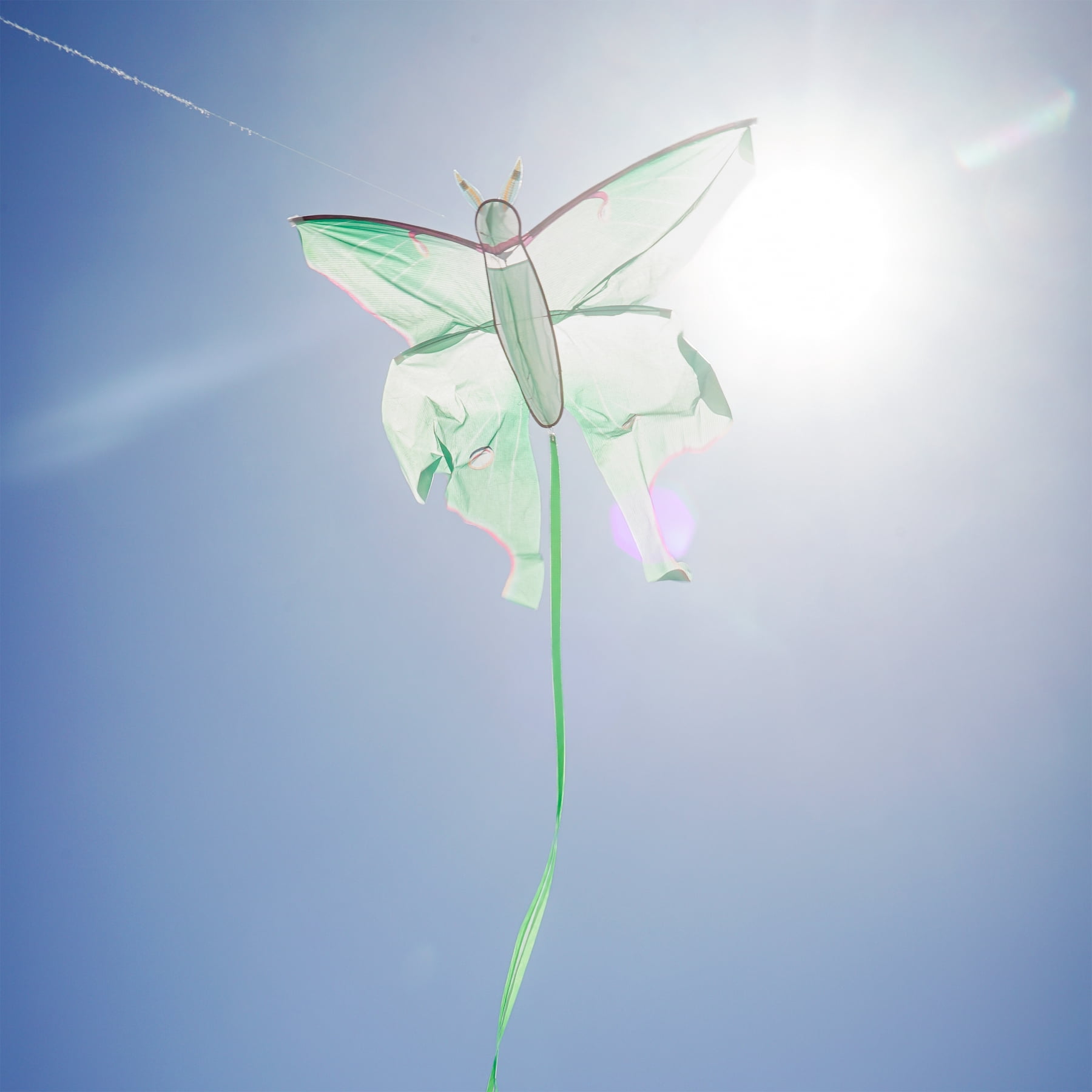 In the Breeze 3398 — Luna Moth Kite — Colorful Easy-Flying Kite with Color-Coordinated Tails, Kite Line Included