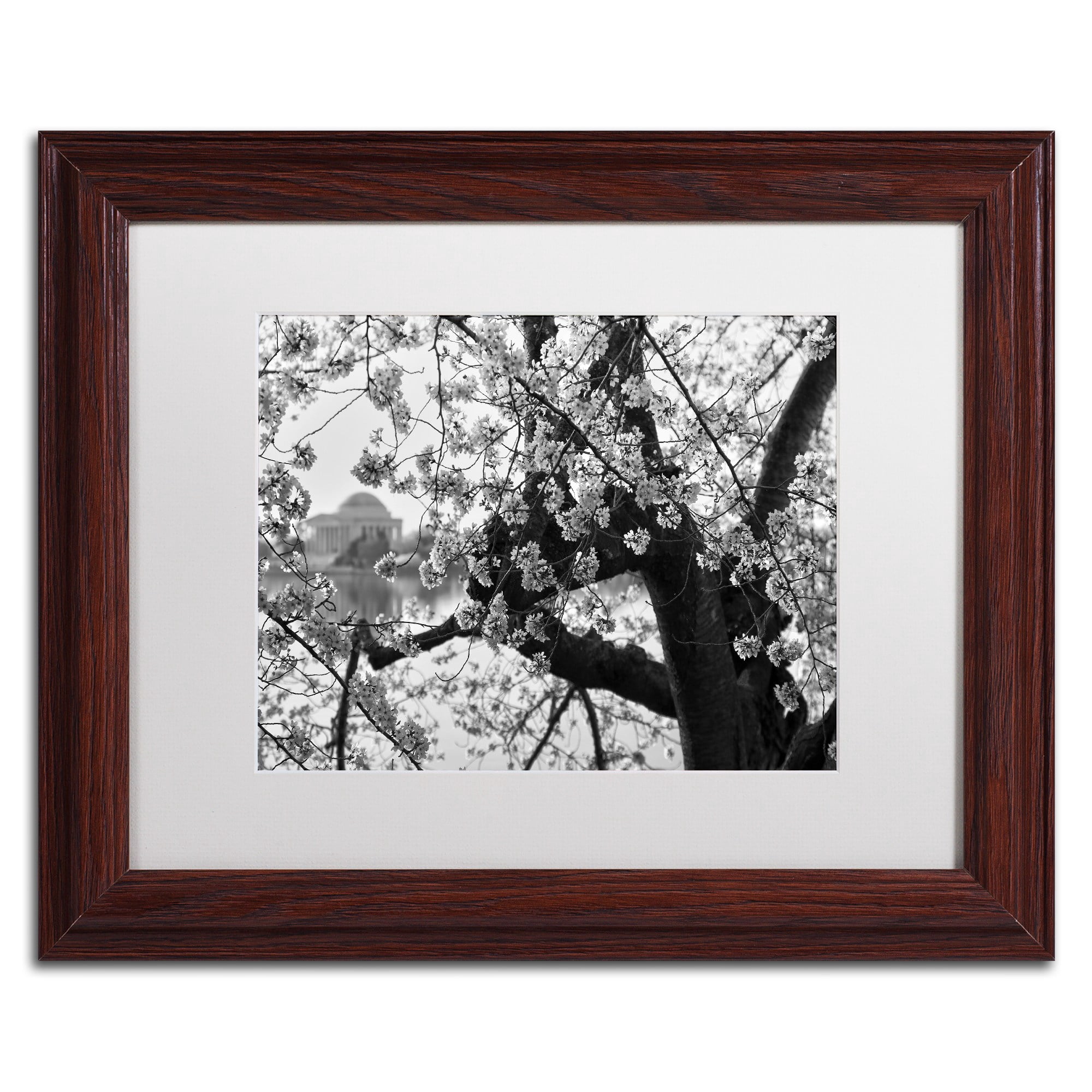 "Blossoms BW" Canvas Art by CATeyes, White Matte, Wood Frame