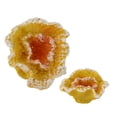 thumbnail image 4 of Decoración De Coral Para Pecera, Fácil Limpieza, Pequeños Adornos Interactivos De Coral Para Acuario Para Paisajismo De Acuario, 4 of 7
