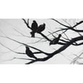 thumbnail image 2 of Silhouette d'Oiseaux et de Branches - Impression Encadrée sur Toile par Begin Edition, 2 of 2